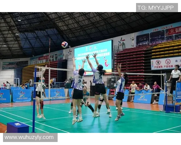 赵静专访:从赛场到人生的排球旅程与成长故事